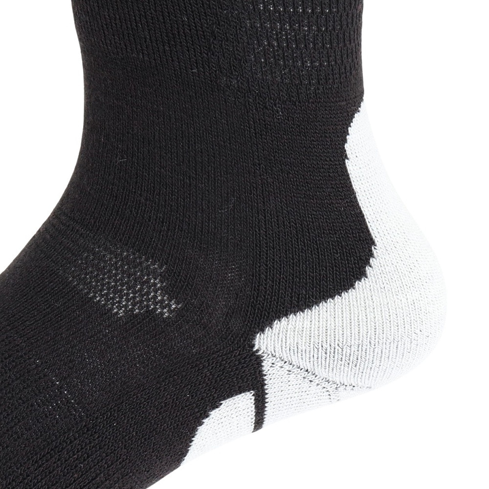 デサント（DESCENTE）（メンズ）スキー ソックス DW4FSO52M BK02