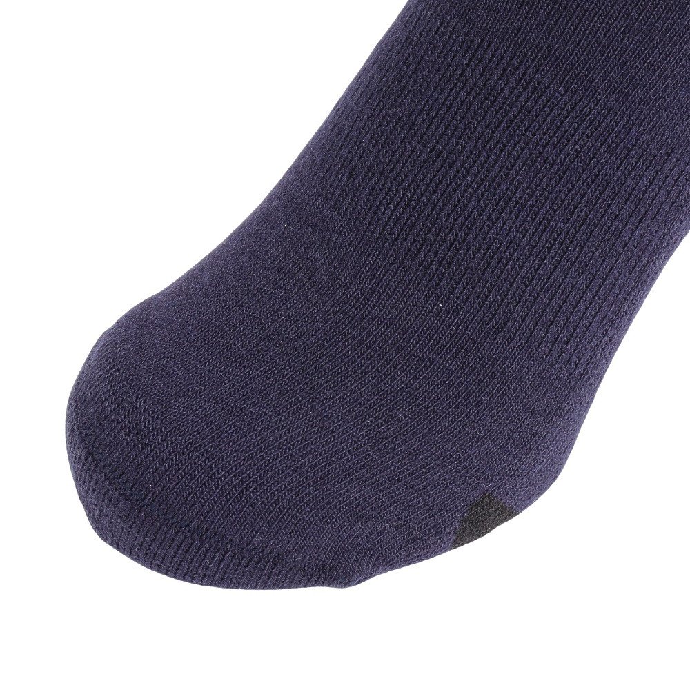 デサント（DESCENTE）（メンズ）スキー ソックス DW4FSO52M NV00