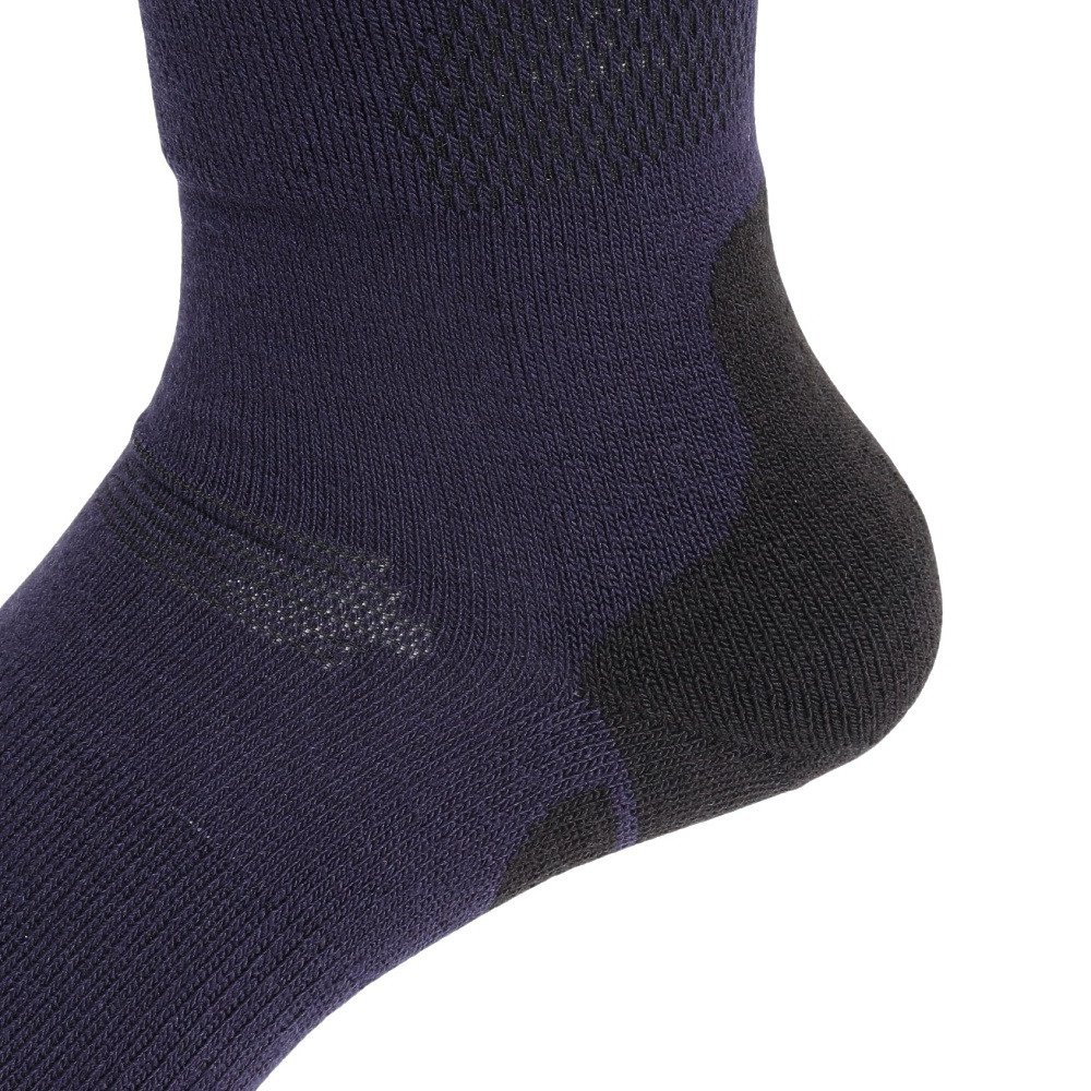 デサント（DESCENTE）（メンズ）スキー ソックス DW4FSO52M NV00