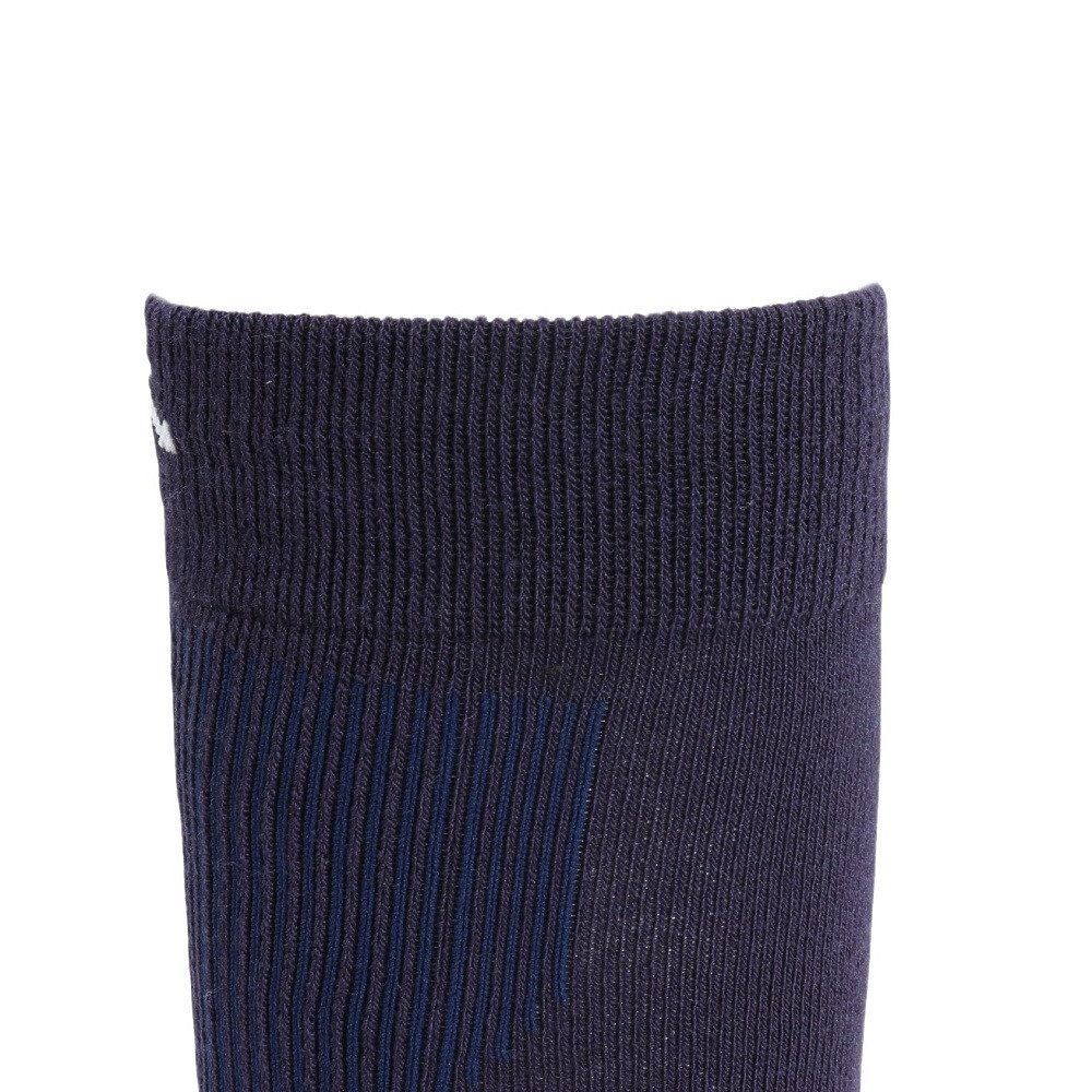 デサント（DESCENTE）（メンズ）スキー ソックス DW4FSO52M NV00