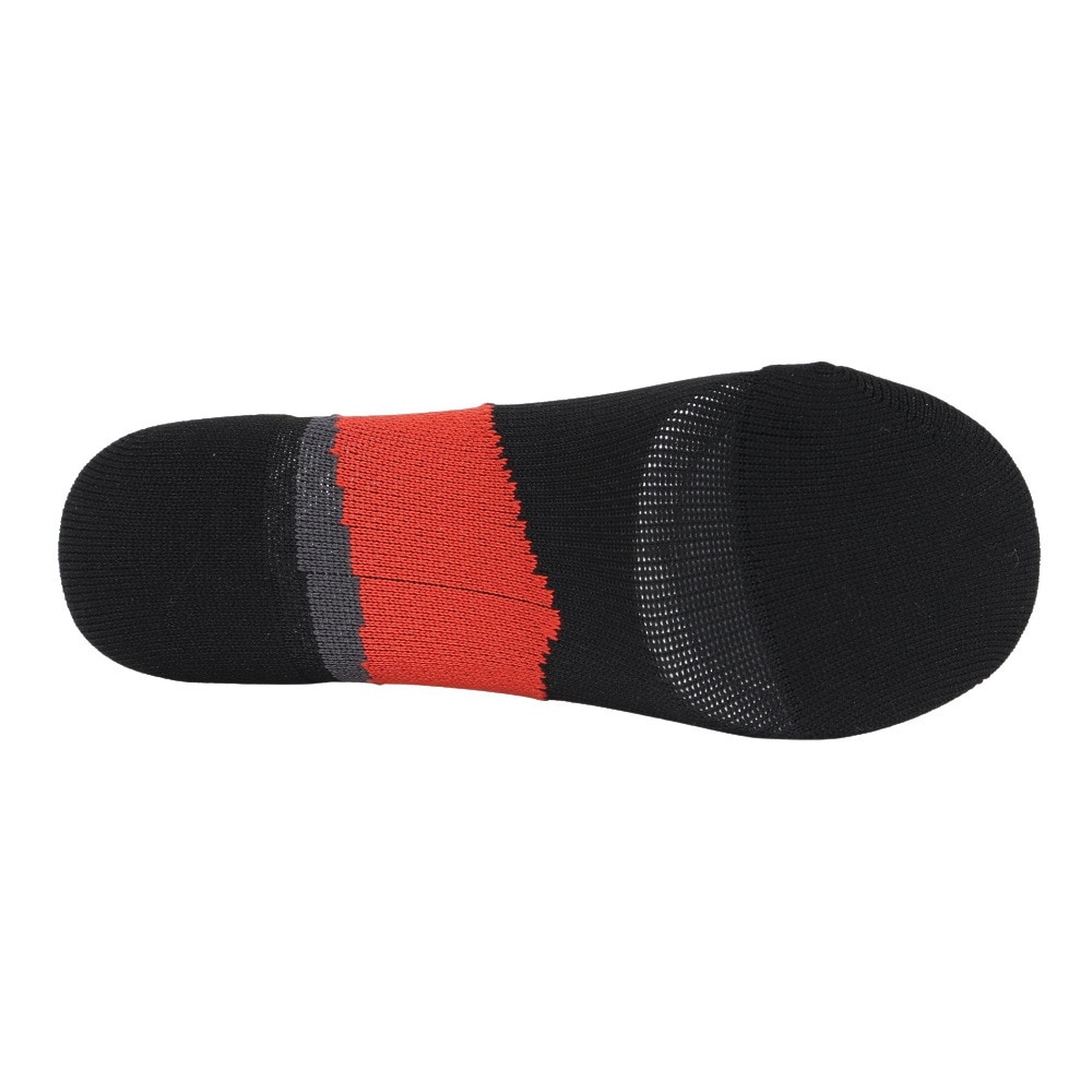 セッションズ（SESSIONS）（メンズ）ウインター スポーツ ソックス 25040304 ORG