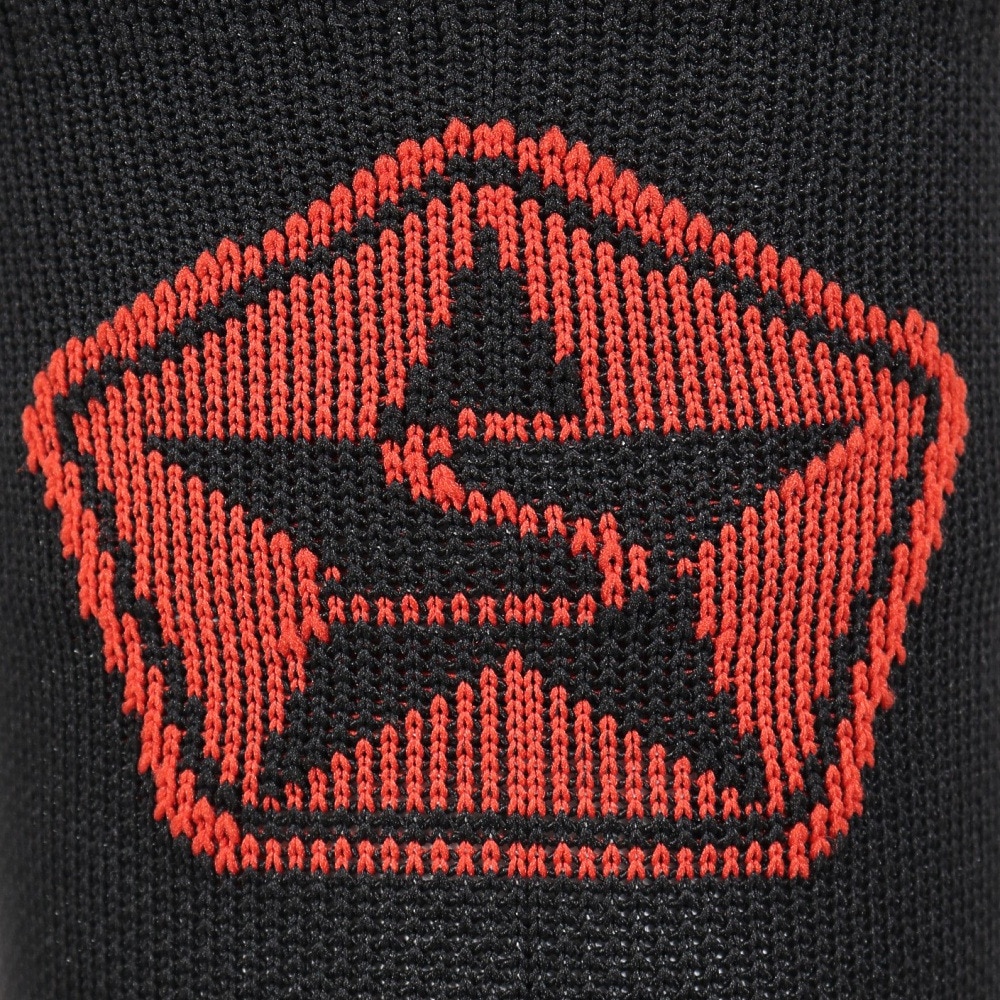 セッションズ（SESSIONS）（メンズ）ウインター スポーツ ソックス 25040304 ORG