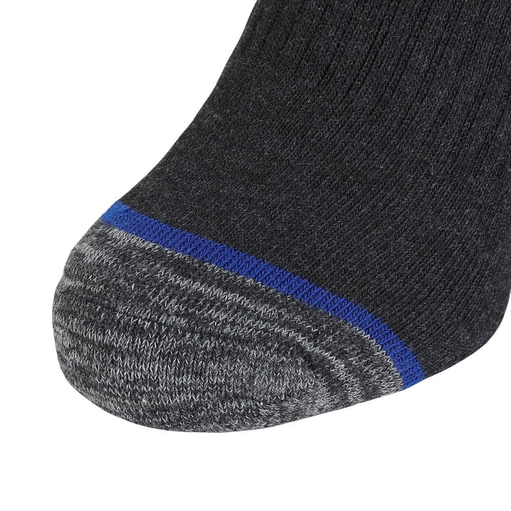 エアボーン（ARBN）（メンズ）切り替え ロゴソックス AB63WC1653 GRY