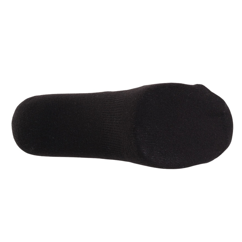 エビス（ebs）（メンズ、レディース）ソックス ベリーウォームドッグ 4500456