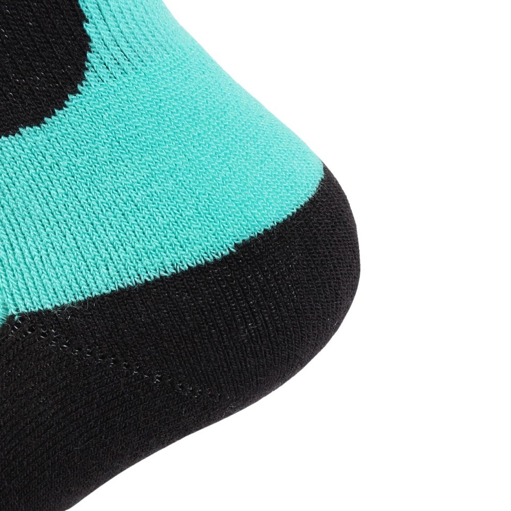 エビス（ebs）（メンズ、レディース）ソックス ベリーウォームドッグ 4500456