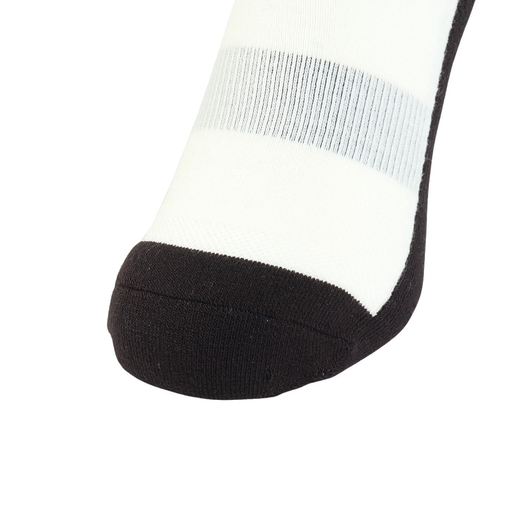 エビス（ebs）（メンズ、レディース）ソックス ベリーウォームドッグ 4500456