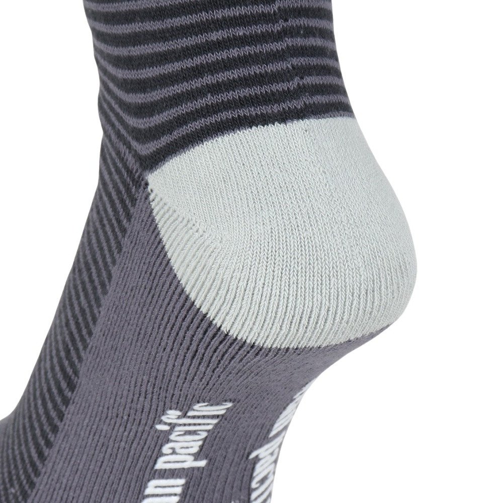 オーシャンパシフィック（Ocean Pacific）（メンズ）靴下 スノーソックス 545950DGY