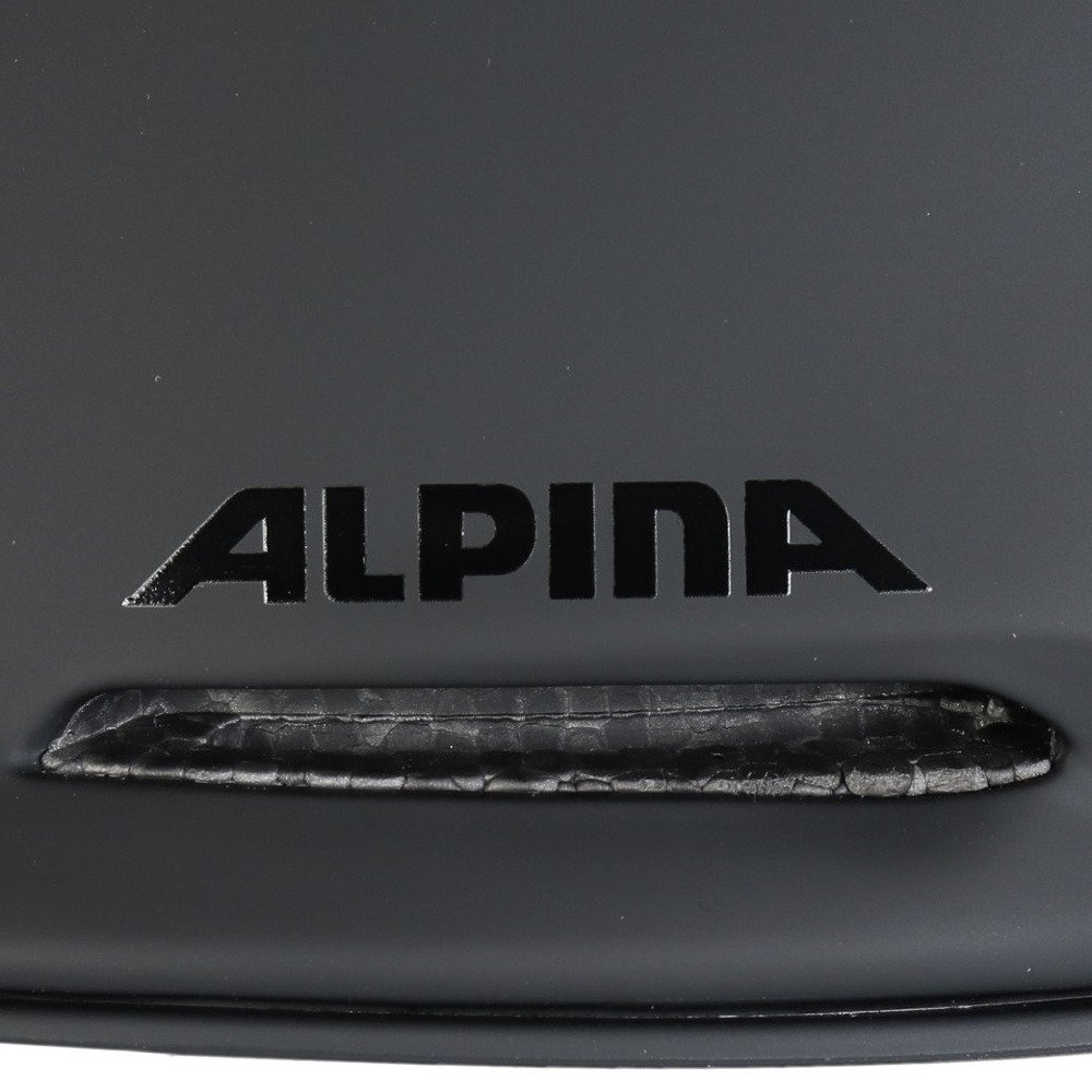 アルピナ（ALPINA）（メンズ）ヘルメット スキー スノーボード BRIX ブラックマット A9252.2.30
