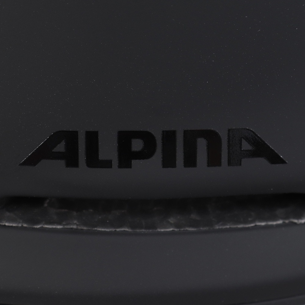 アルピナ（ALPINA）（メンズ）ヘルメット スキー スノーボード BRIX