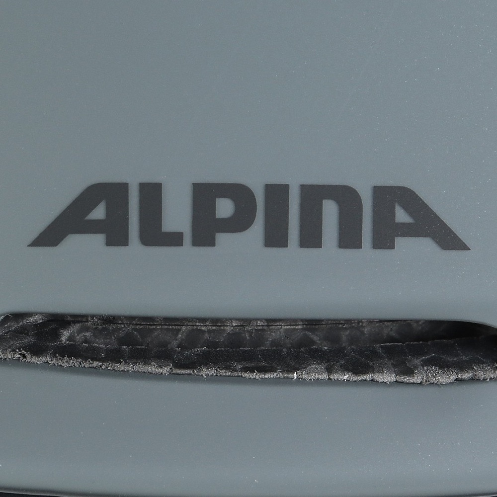 アルピナ（ALPINA）（メンズ）ヘルメット インナーパッド BRIX GY Mサイズ A9252 235