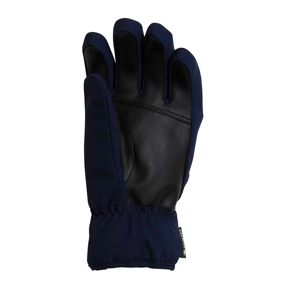 フェニックス（PHENIX）（レディース）スキー スノーボード グローブ Space Hunter Gloves ESW23GL51 NAVY