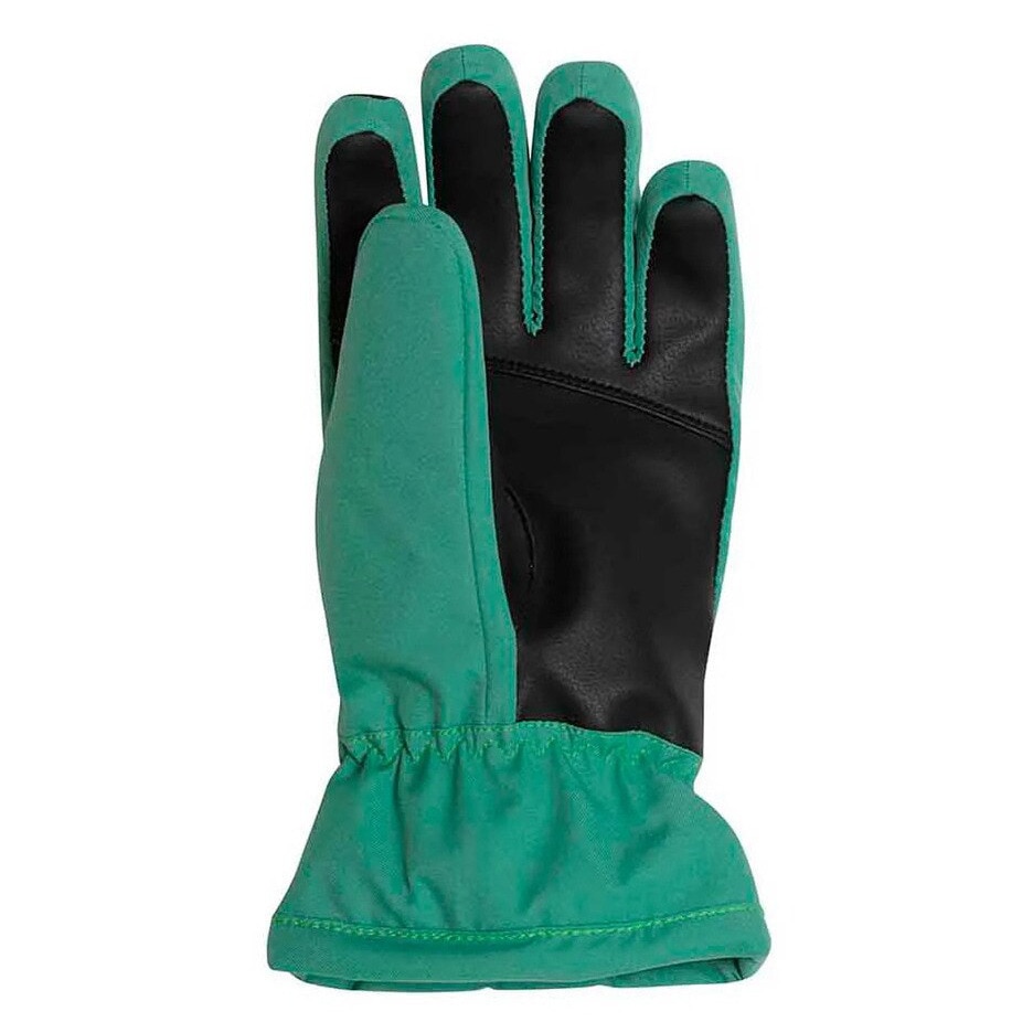 フェニックス（PHENIX）（レディース）スキーグローブ Spacewalk Gloves ESW23GL52 GREEN