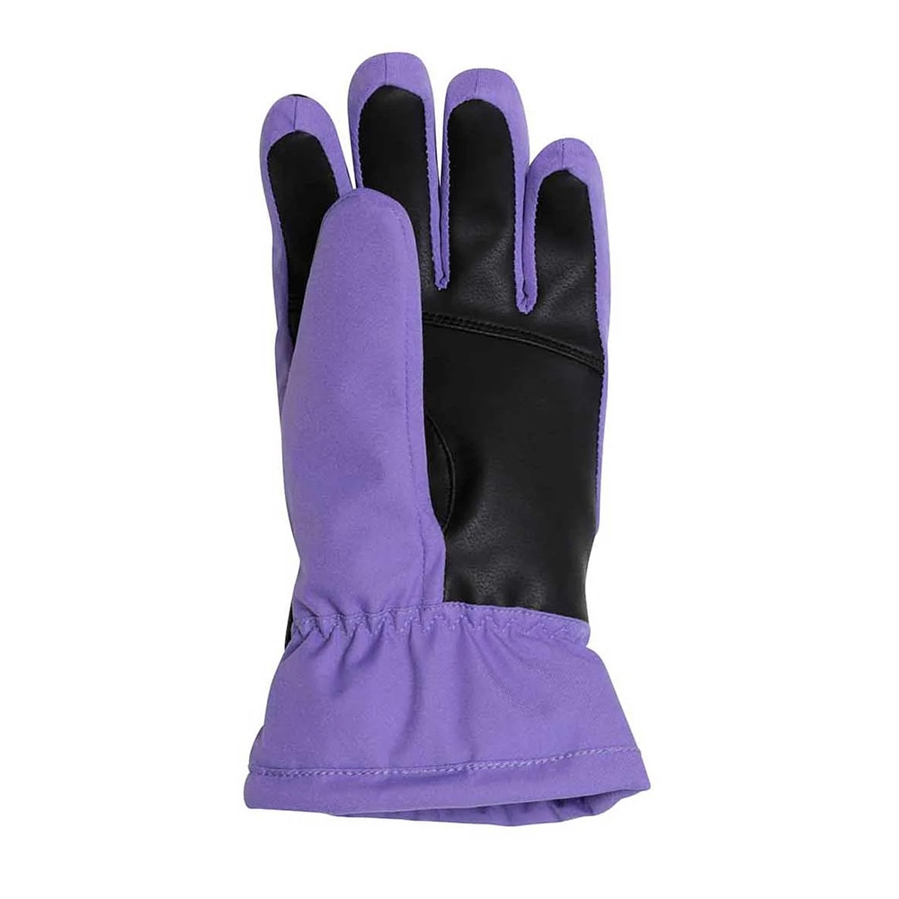フェニックス（PHENIX）（レディース）スキーグローブ Spacewalk Gloves ESW23GL52 PURPLE