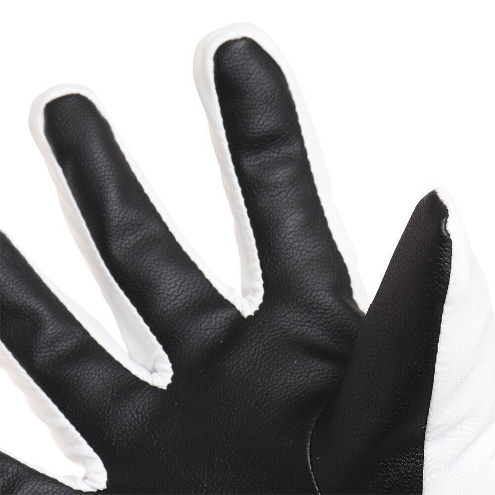 ロイシュ（REUSCH）（レディース）グローブ スキー スノーボード LUNA R-TEX XT WT 62312441100