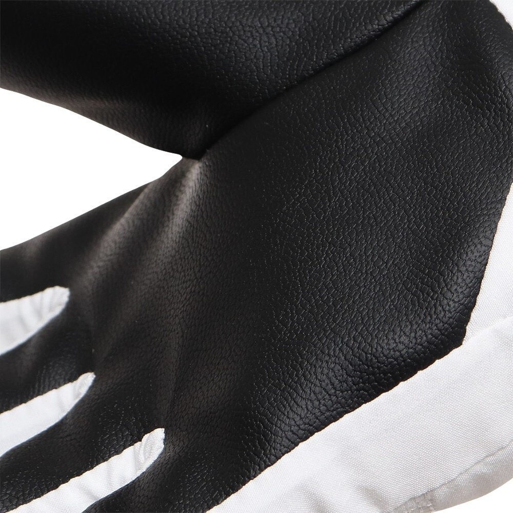 ロイシュ（REUSCH）（レディース）グローブ スキー スノーボード LUNA R-TEX XT WT 62312441100
