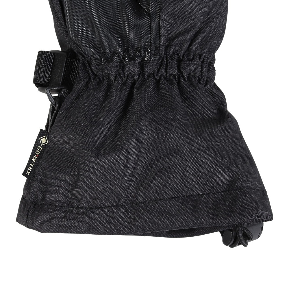ダカイン（DAKINE）（レディース）SEQUOIA GORETEX グローブ BE237767 BLK