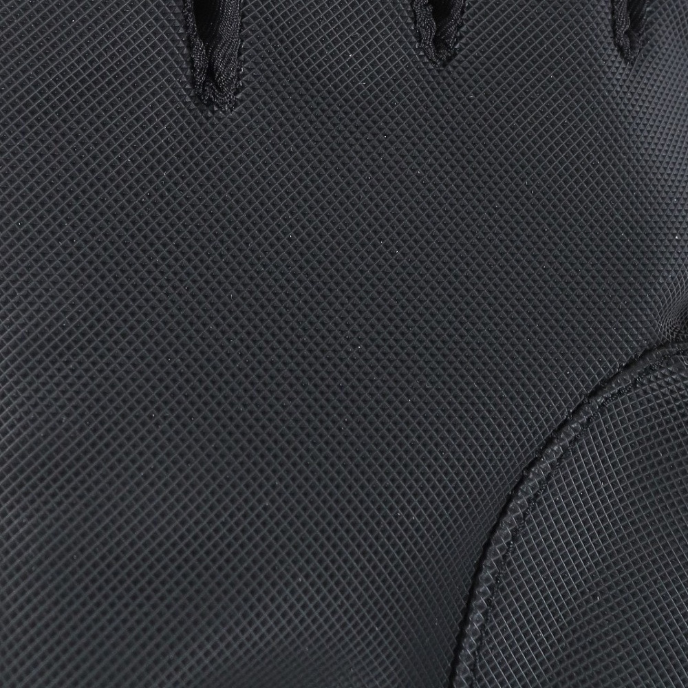 その他ブランド（OTHER BRAND）（レディース）スノーグローブ PROGRESS LADY 五指グローブ 329NN2SN0004 BLK