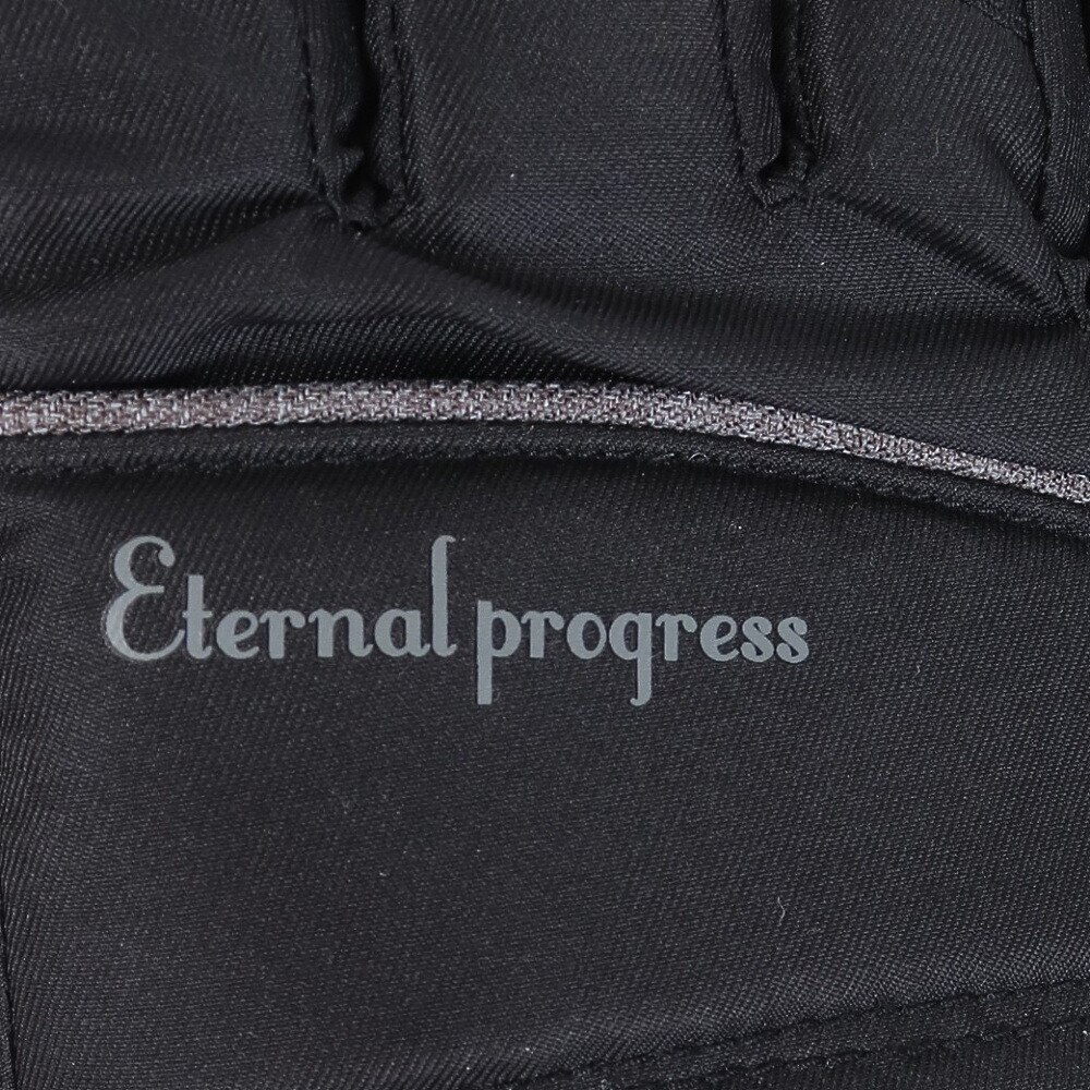 その他ブランド（OTHER BRAND）（レディース）スノーグローブ PROGRESS LADY 五指グローブ 329NN2SN0004 BLK