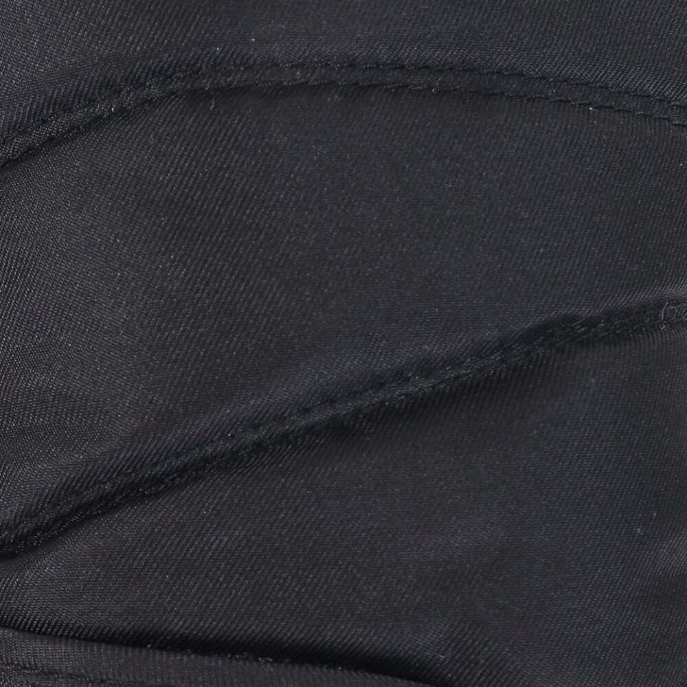 その他ブランド（OTHER BRAND）（レディース）スノーグローブ PROGRESS LADY 五指グローブ 329NN2SN0004 BLK