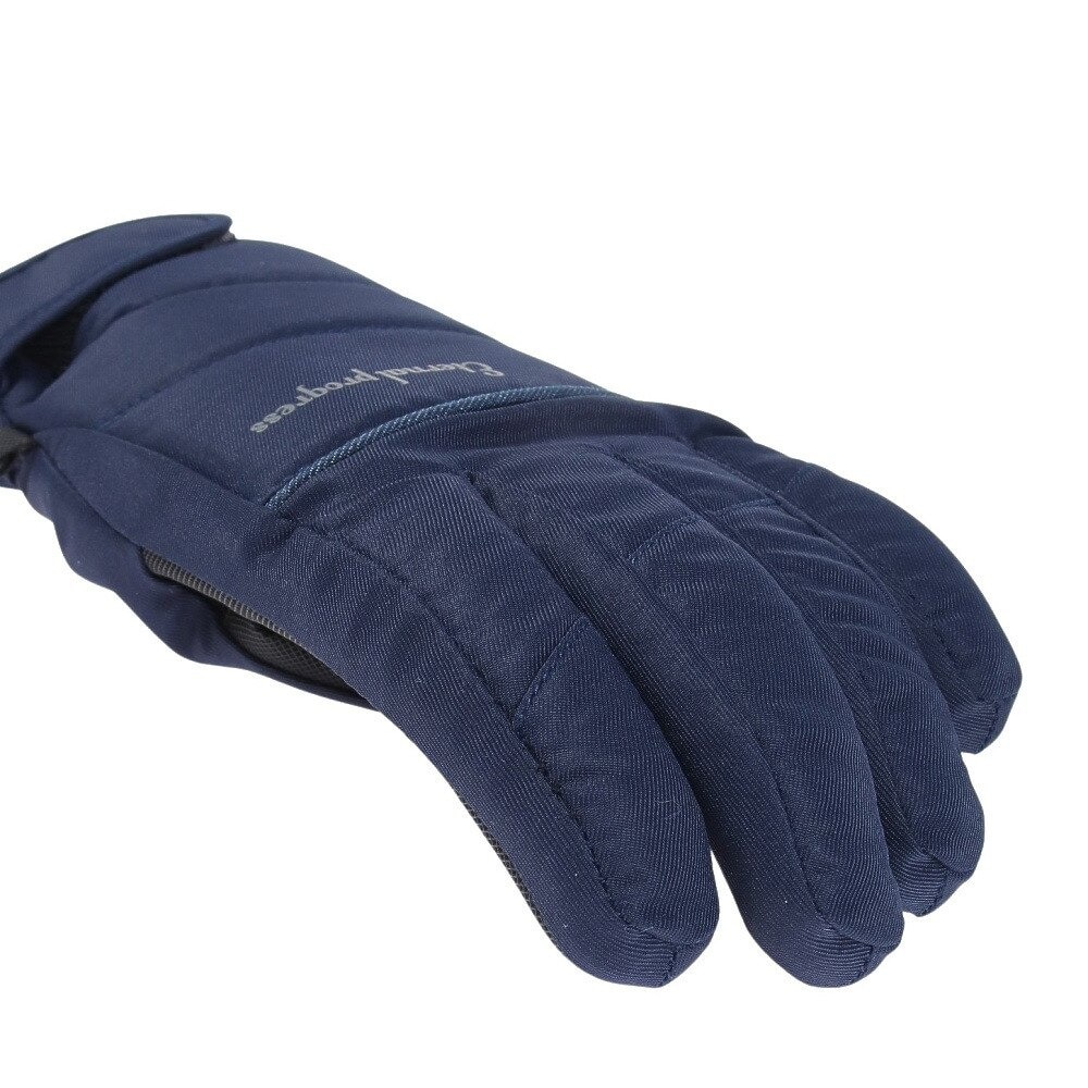 その他ブランド（OTHER BRAND）（レディース）スノーグローブ PROGRESS LADY 五指グローブ ネイビー ETERNAL PROGRESS 329NN2SN0004 NVY