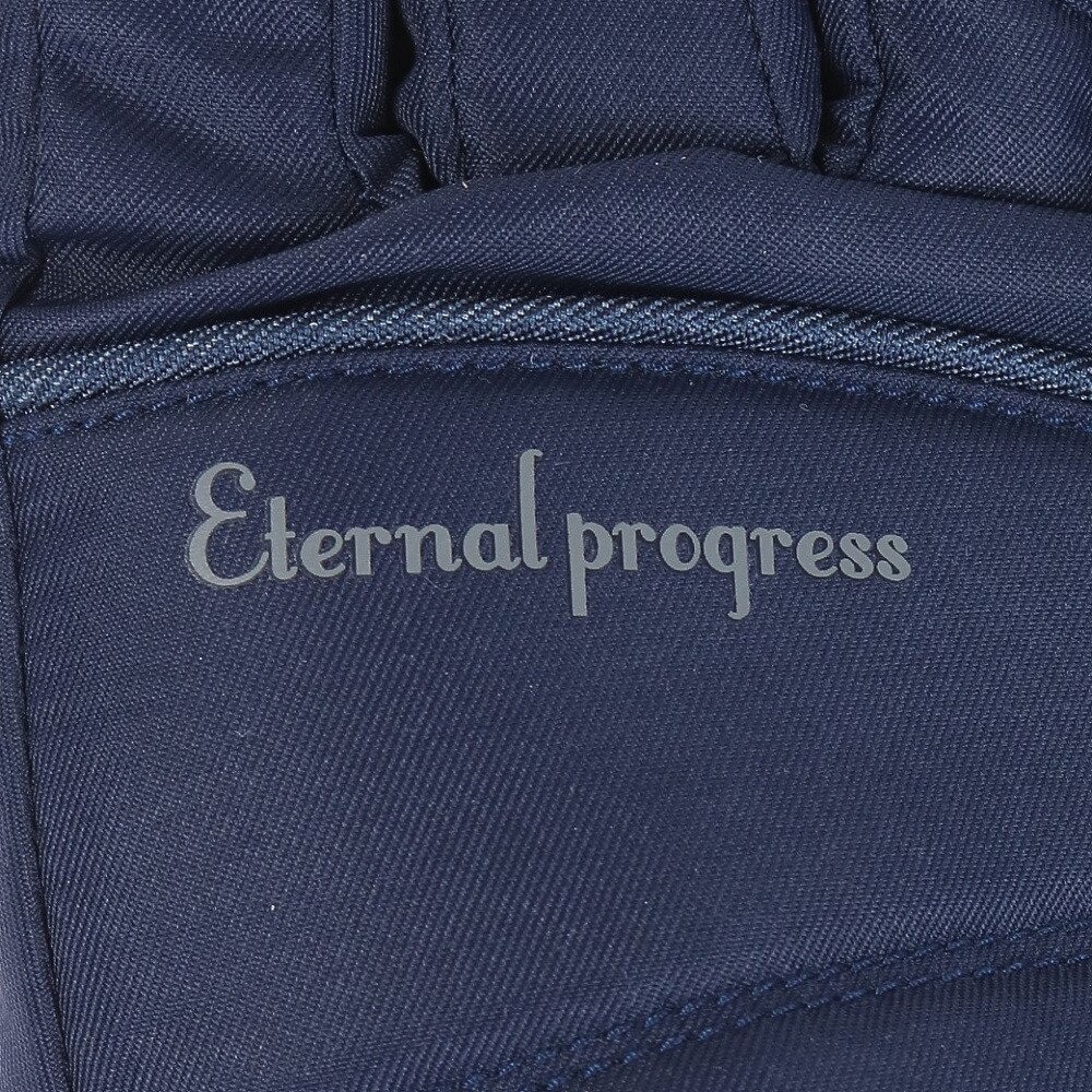 その他ブランド（OTHER BRAND）（レディース）スノーグローブ PROGRESS LADY 五指グローブ ネイビー ETERNAL PROGRESS 329NN2SN0004 NVY