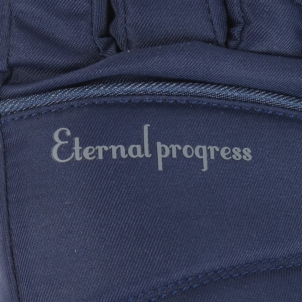 その他ブランド（OTHER BRAND）（レディース）グローブ スキー スノーボード スノボ レディース ネイビー ETERNAL PROGRESS 329NN2SN0004 NVY