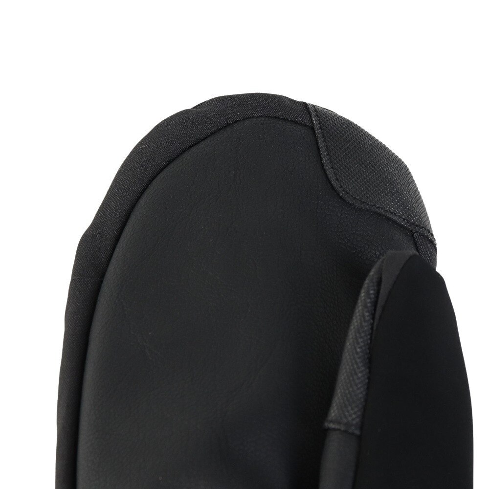 ダカイン（DAKINE）（レディース）ウインター ミトングローブ SILVIA GORE-TEX MITT BF237774 BLK