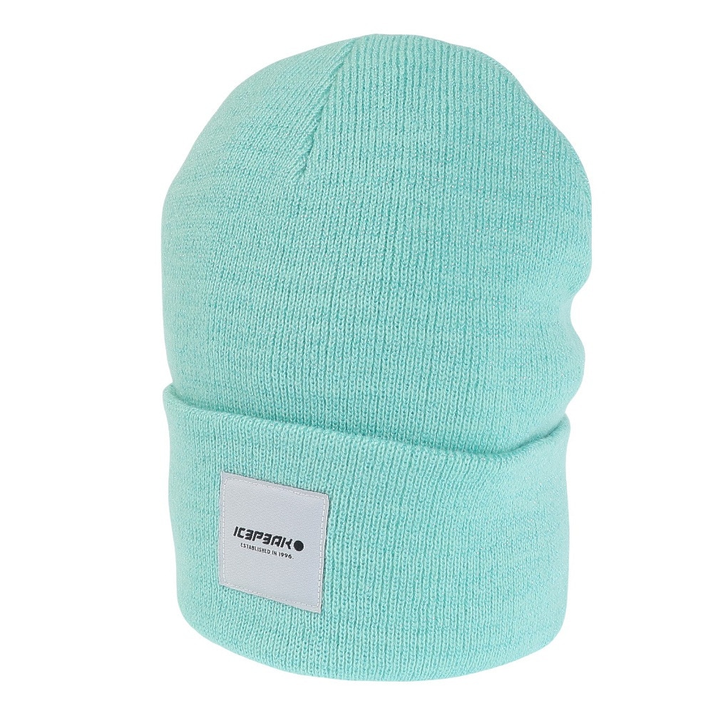 アイスピーク（ICEPEAK）（レディース）帽子 ニット帽 HANAHAN 4 55808 510