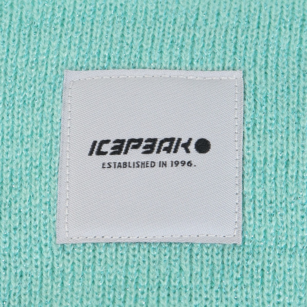 アイスピーク（ICEPEAK）（レディース）帽子 ニット帽 HANAHAN 4 55808 510