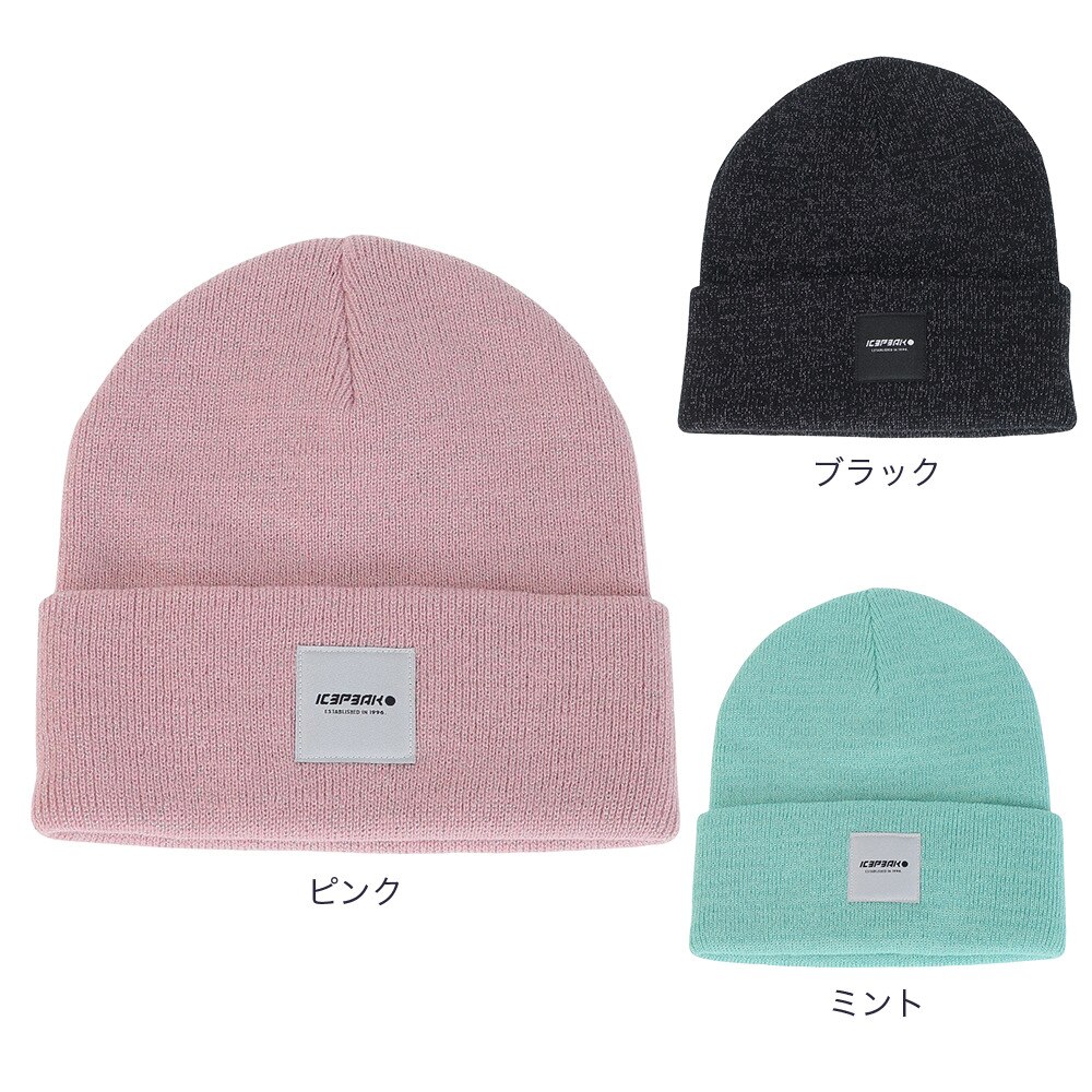 アイスピーク（ICEPEAK）（レディース）帽子 ニット帽 HANAHAN 4 55808 615