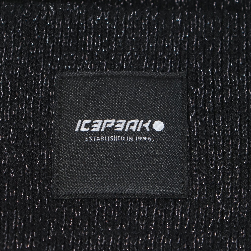 アイスピーク（ICEPEAK）（レディース）帽子 ニット帽 HANAHAN 4 55808 990