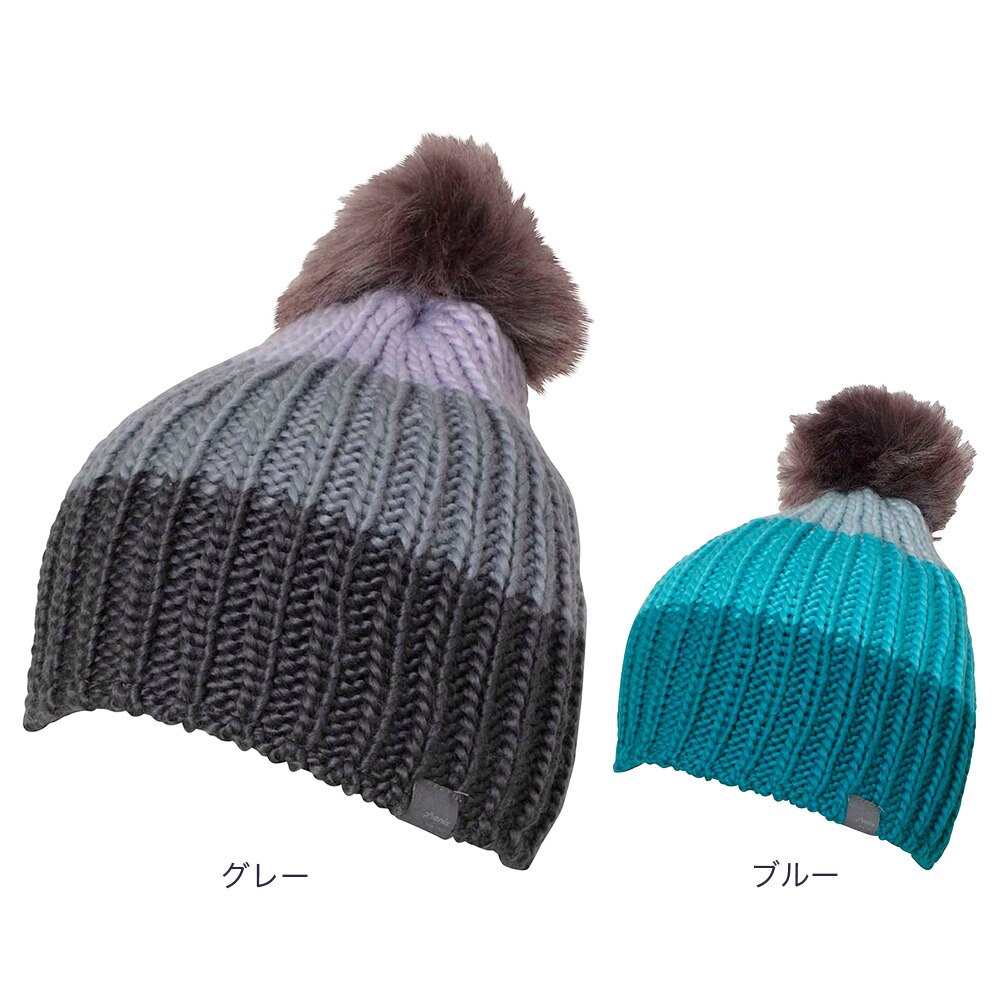 フェニックス（PHENIX）（レディース）ニット帽 スキー スノーボード Time Travel Knit Hat ESW23HW50 GRAY