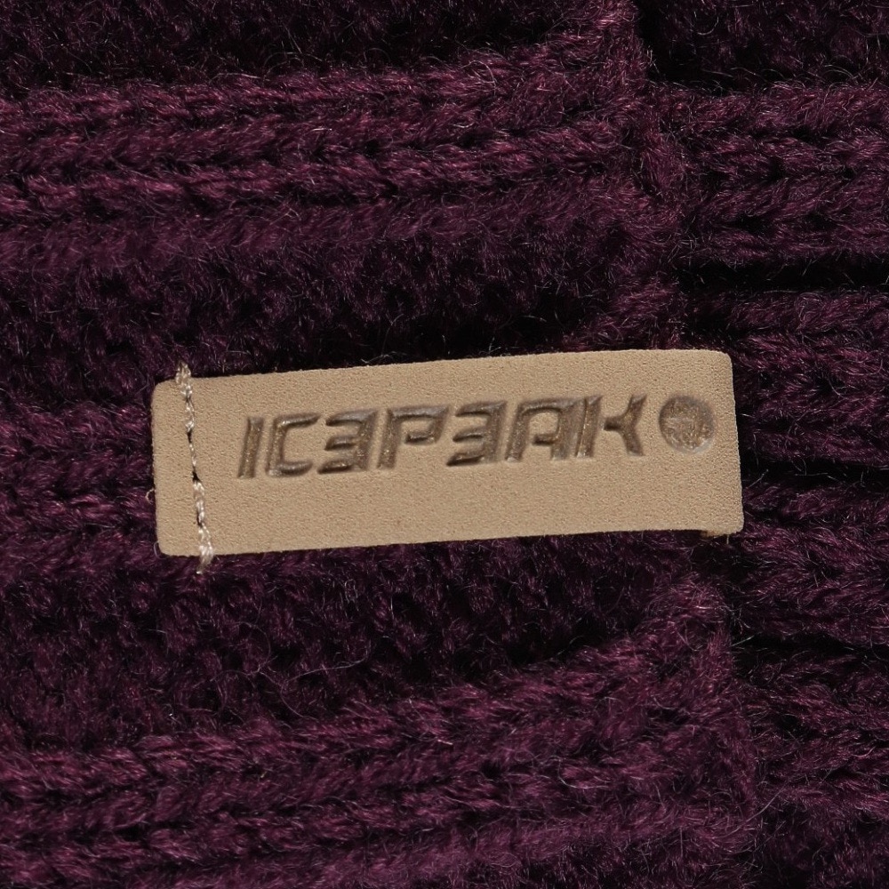 アイスピーク（ICEPEAK）（メンズ、レディース）HAZEN ニット帽 55812 871 770