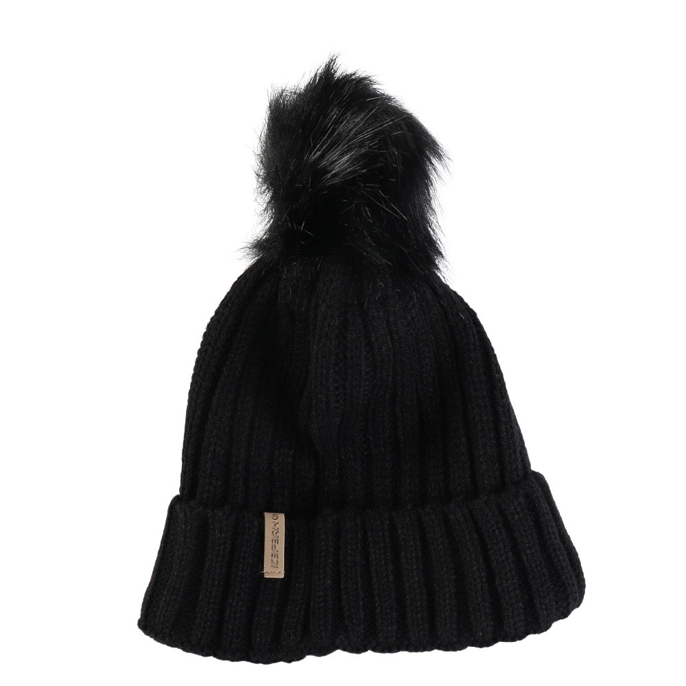 アイスピーク（ICEPEAK）（メンズ、レディース）HAZEN ニット帽 55812 871 990
