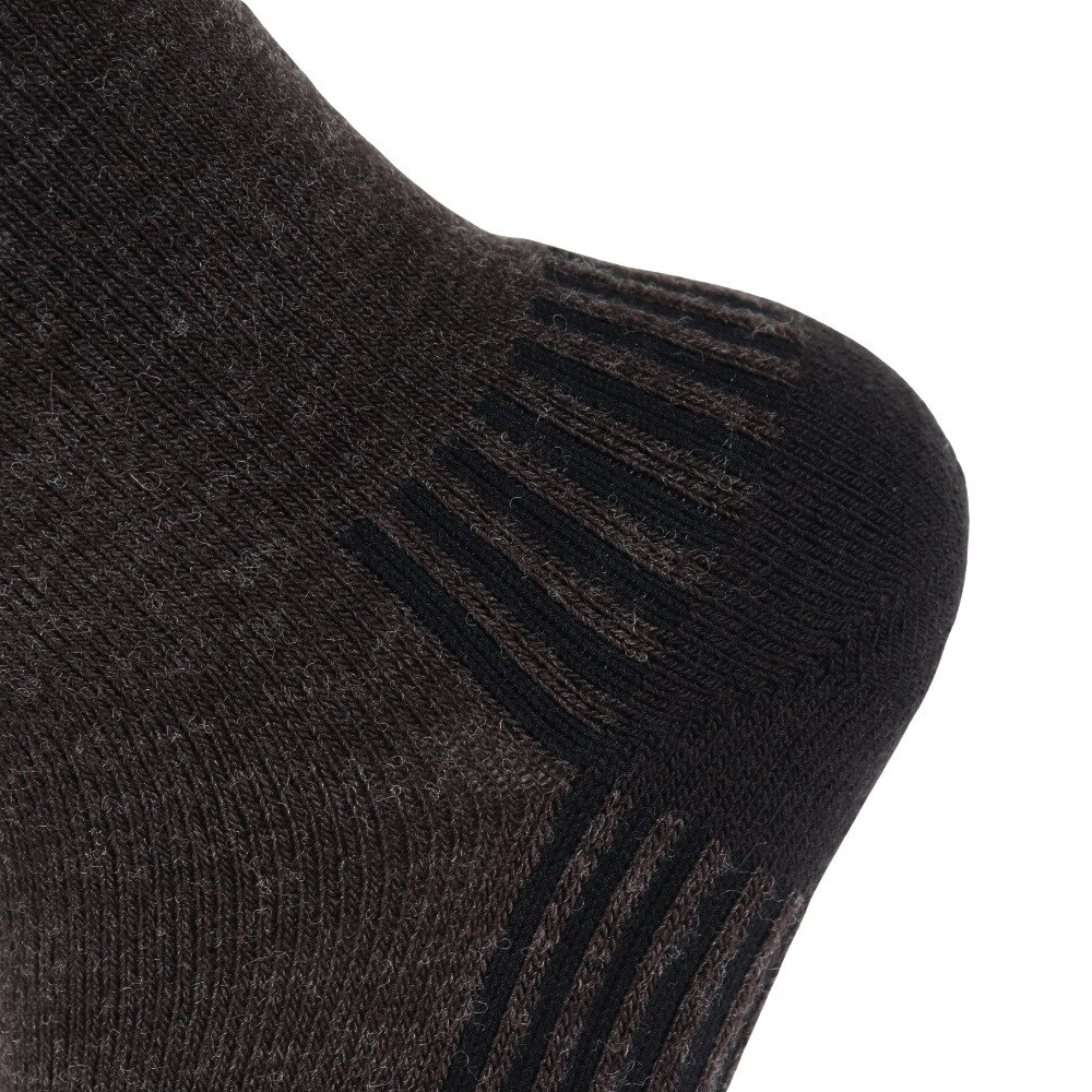 デサント（DESCENTE）（レディース）スキーソックス DWCWJB60 CHC