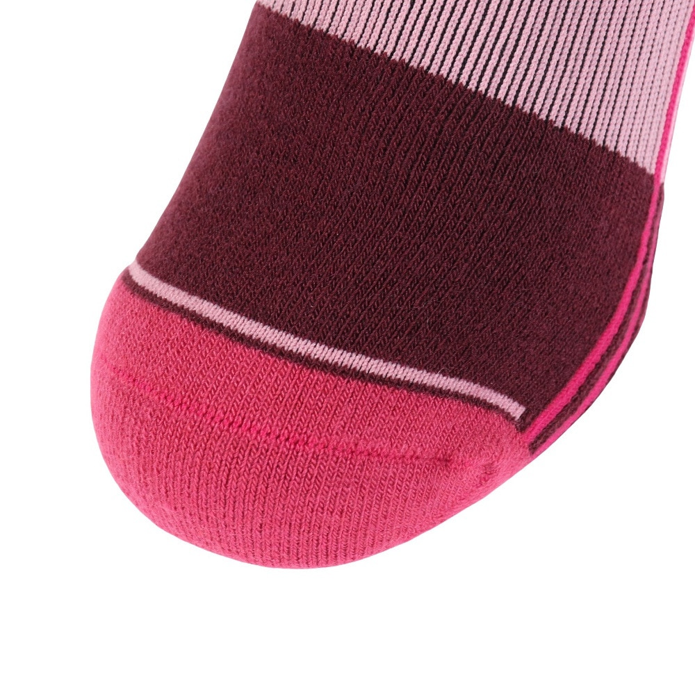 デサント（DESCENTE）（レディース）スキーソックス DWCWJB60 DCR