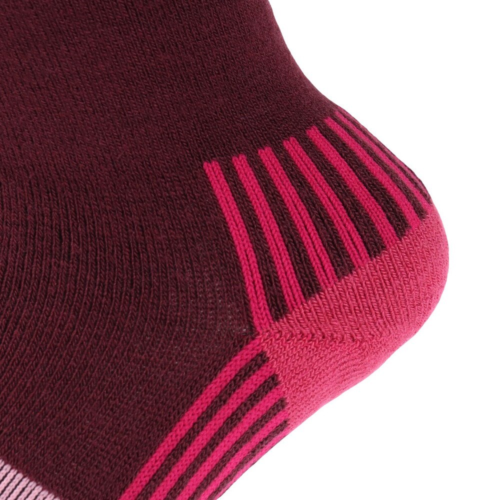 デサント（DESCENTE）（レディース）スキーソックス DWCWJB60 DCR