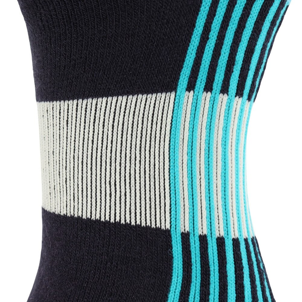 デサント（DESCENTE）（レディース）スキーソックス DWCWJB60 MLB