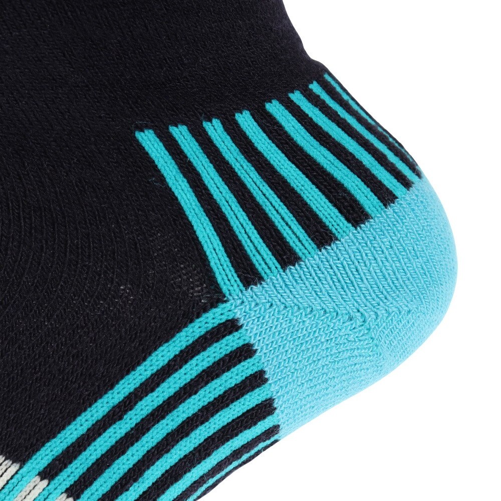 デサント（DESCENTE）（レディース）スキーソックス DWCWJB60 MLB