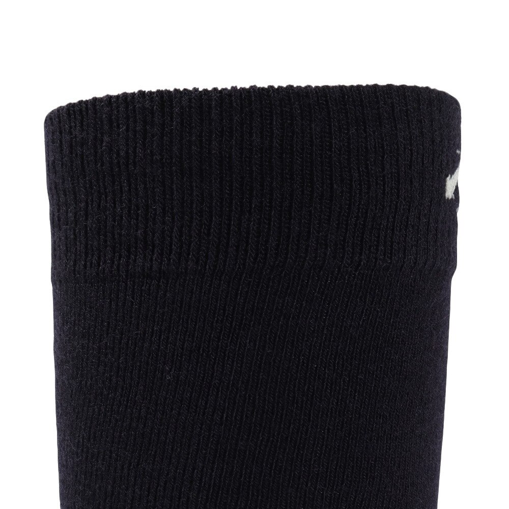 デサント（DESCENTE）（レディース）スキーソックス DWCWJB60 MLB