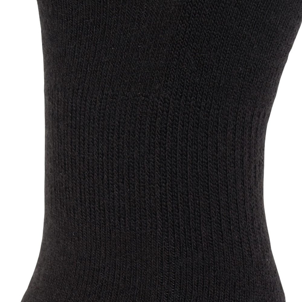デサント（DESCENTE）（レディース）スキーソックス DWCWJB61 BLK