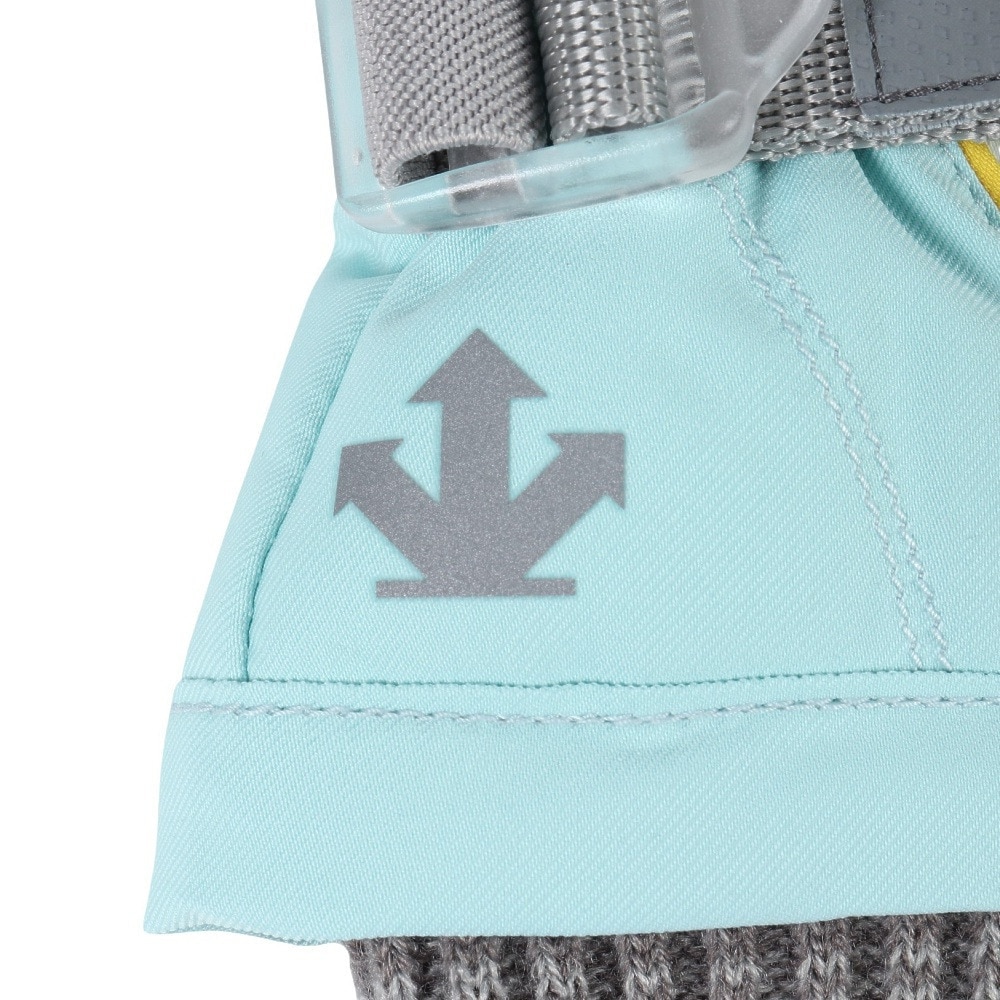 デサント（DESCENTE）（キッズ）ジュニア スキーグローブ 五指グローブ DWDWJD62 SBL