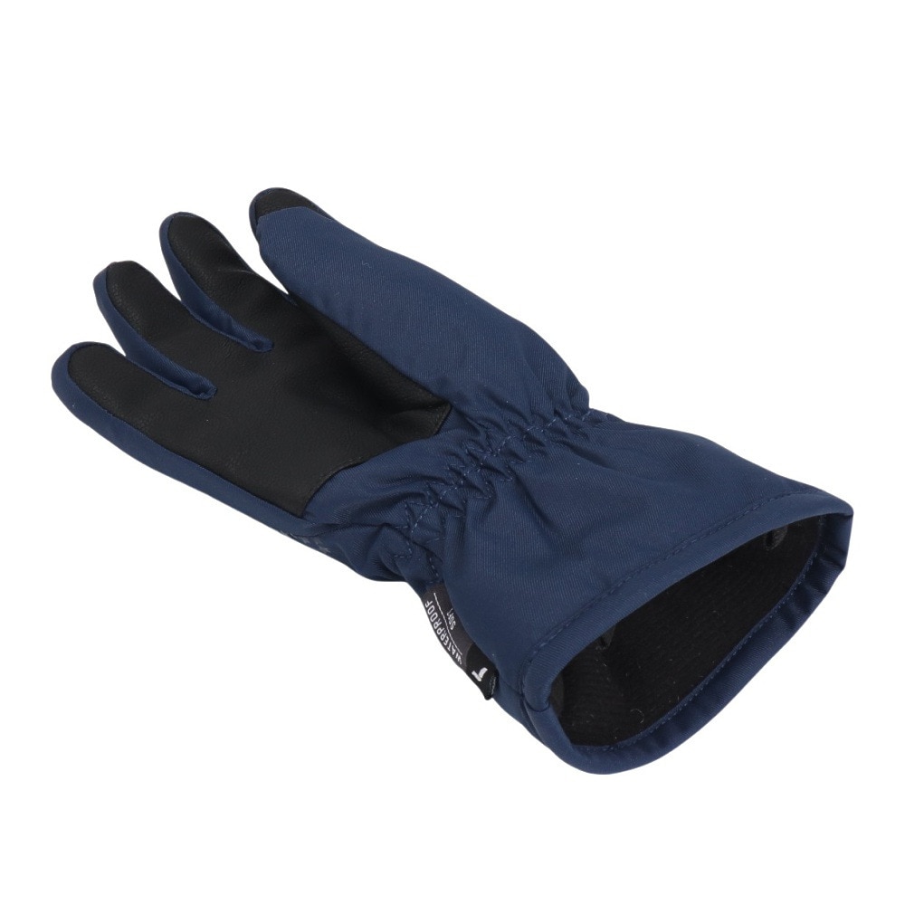 ロイシュ（REUSCH）（キッズ）ALICE R-TEX XT ジュニア グロ-ブ 64612844479