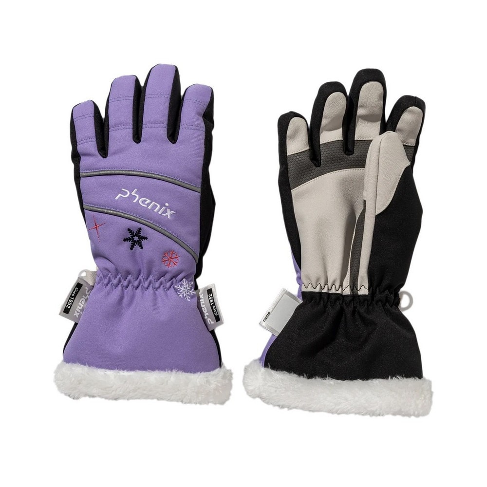 tFjbNXAEgDWjA ܎wO[u OfBGgXm[p^[O[u ESG25GL92PURPLEik50Xm[{[h