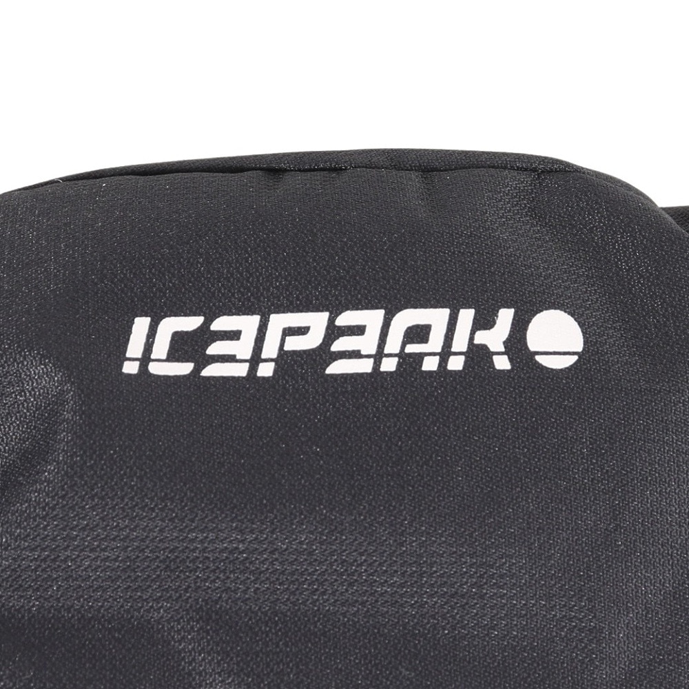 アイスピーク（ICEPEAK）（キッズ）ジュニア スノーグローブ ミトン HAYSVILLE 452852564990