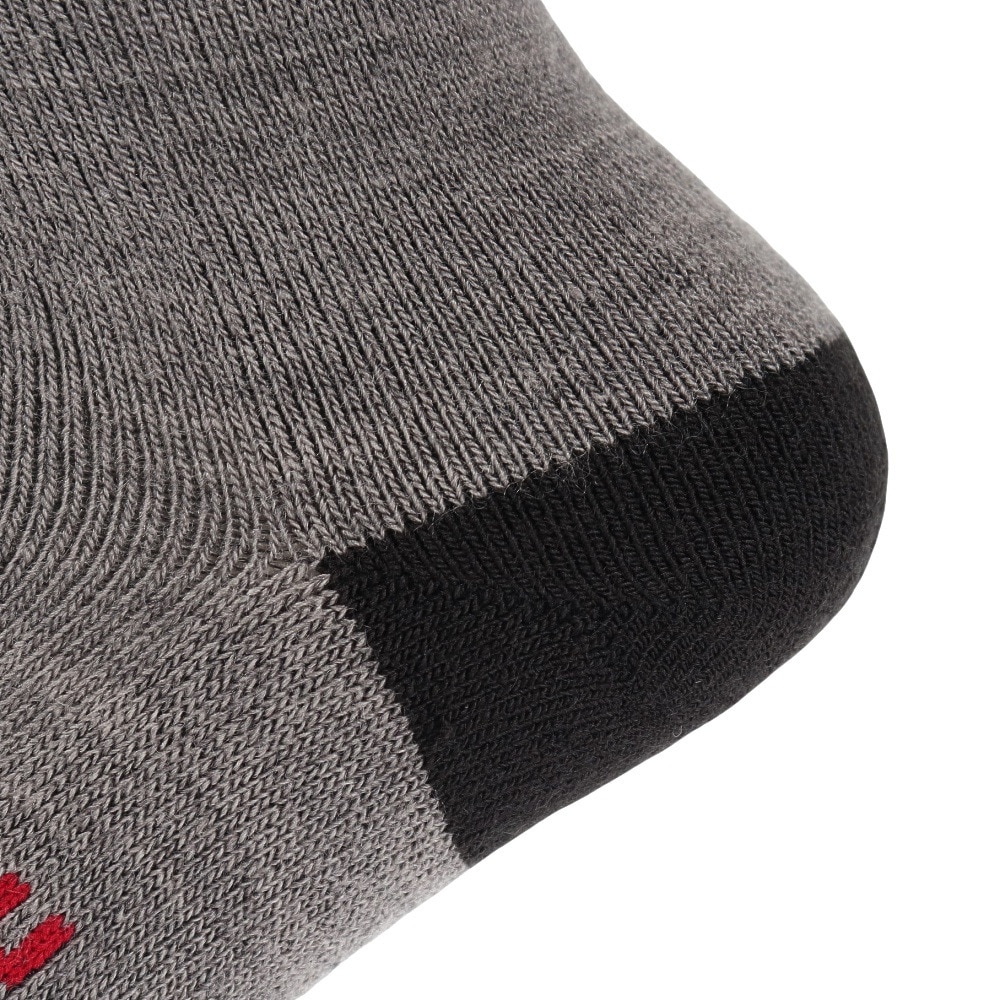 デサント（DESCENTE）（キッズ）スキーソックス ジュニアソックス 1足組 DWDWJB60 GRY