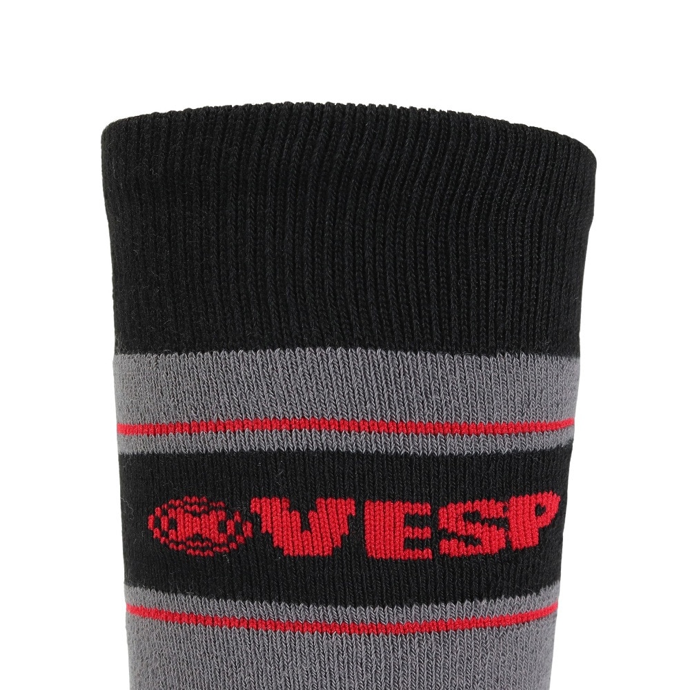 ベスプ（VESP）（キッズ）ジュニア 子供 スキー スノーボード ソックス 1足組 VPJK1004CGR