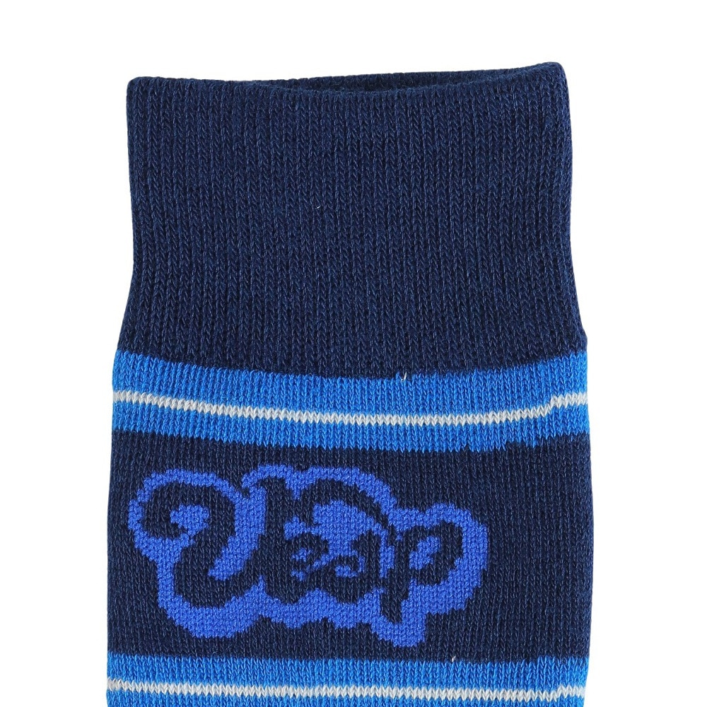 ベスプ（VESP）（キッズ）ジュニア 子供 スキー スノーボード ソックス 1足組 VPJK2003BL
