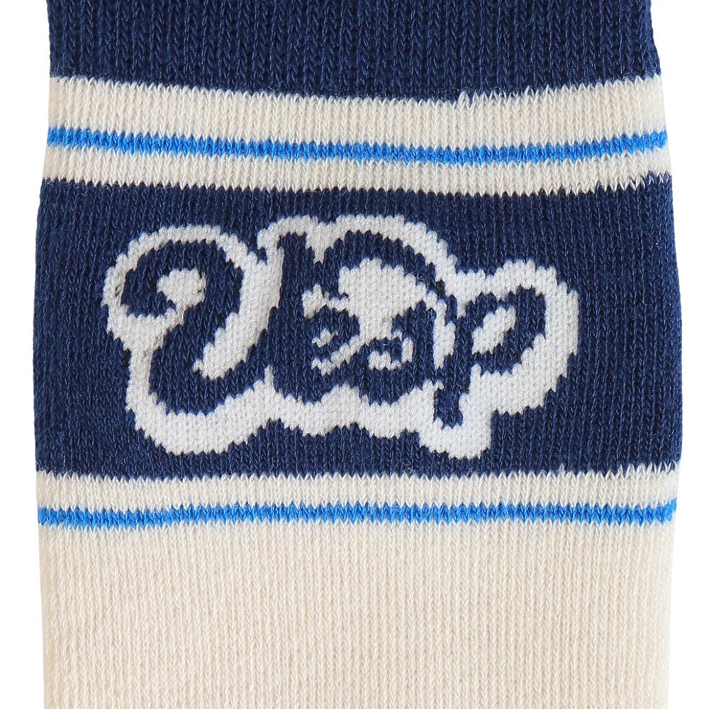 ベスプ（VESP）（キッズ）ジュニア 子供 スキー スノーボード ソックス 1足組 VPJK2003WH