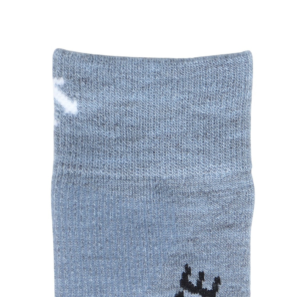 デサント（DESCENTE）（キッズ）ジュニア スキー ソックス DW4FSO51J BL00